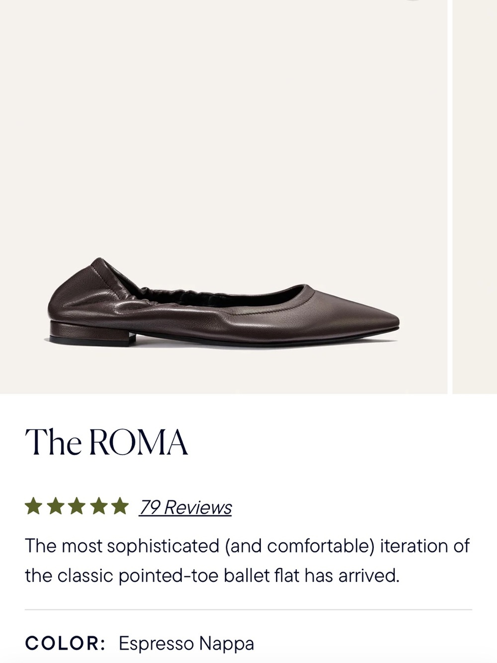 Margaux Roma Pointed Toe Flats in Brown
